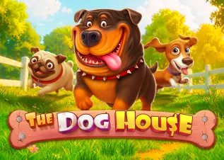 area1 ทางเข้า The Dog House ทดลองเล่นฟรี